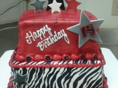Cake 4.jpg